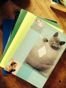 My notebook