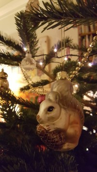 20161203_221806